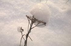 Снежный декабрь прогнозируют синоптики в Нижегородской области 