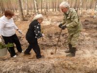 Лес Победы в Сарове начался с трех тысяч сеянцев сосны 