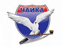 Нижегородская "Чайка" уступила "Челнам" 