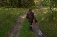 79-летняя Мария Публикова пропала в лесу Борского района 