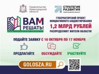 Жители Нижегородского района предложили 10 инициатив по «Вам решать!»  