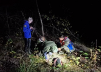 Нижегородские волонтеры нашли 76-летнего пенсионера в лесу спустя 8 дней 