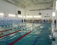 Чемпионат Нижнего Новгорода по плаванию стартует 27 мая 