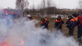 78 случаев загорания травы произошло в Нижегородской области 