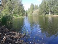 27-летний мужчина утонул в озере в Семеновском районе 