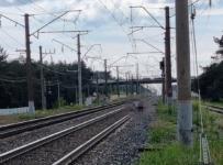 Молодой человек пытался броситься под поезд в Дзержинске   