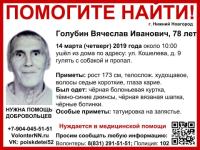 78-летний Вячеслав Голубин пропал в Нижнем Новгороде 
