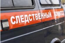 СК проводит проверку после гибели подростка в нижегородском озере 