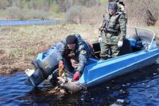 В Нижегородской области с 15 апреля начался нерестовый период 