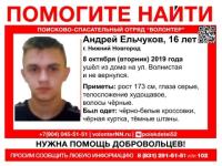 16-летнего Андрея Ельчукова 5-е сутки ищут в Нижнем Новгороде 
