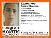 16-летний подросток пропал в Нижнем Новгороде 