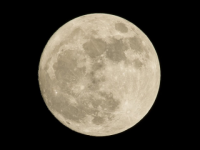 «Голубая Луна» поднимется над Нижним Новгородом в ночь на 31 августа 