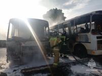 Пять автобусов и «Газель» загорелись на стоянке в Выксе 