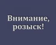 ГИБДД просит нижегородцев о помощи в розыске виновника смертельного ДТП 