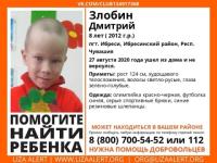 8-летнего мальчика ищут в Нижегородской области 