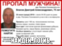 Пропавший в Нижегородской области Дмитрий Власов найден погибшим 