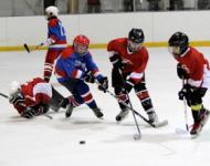Шесть российских команд сыграют в детском хоккейном турнире в Нижнем Новгороде 