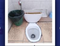 Школьные туалеты в Заволжье победили в конкурсе худших в России 