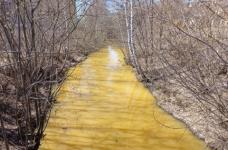 В желтый цвет окрасилась река Борзовка в Нижнем Новгороде  