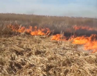 45 тысяч кв.м. сухой травы сгорело в Нижегородской области в этом году 