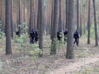 Свыше 250 нижегородцев заблудились в лесу с августа по октябрь 