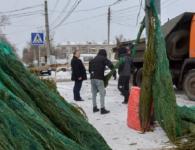 Два протокола за незаконную торговлю ёлками составили в Нижнем Новгороде 