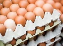 Цены на яйца и сливочное масло снизились в Нижегородской области 