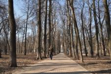 Около 350 тысяч рублей планируется потратить на содержание парка имени Пушкина в Нижнем Новгороде в марте - июне 