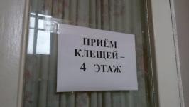 Более 250 жителей Нижегородской области подверглись атакам клещей в конце апреля 