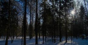 14 пропавших в январе до сих пор не нашли в Нижегородской области 