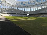 Шанцев выложил фото нового газона на стадионе «Нижний Новгород»  