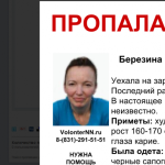 44-летняя Ирина Березина пропала в Нижегородской области 
