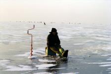 Любители зимней рыбалки посоревнуются в лове на мормышку в Нижегородской области 