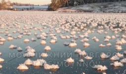 «Ледяные цветы» заметили на реках жители Нижегородской области  