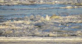 Мужчина провалился под лед на реке в Починках Нижегородской области 