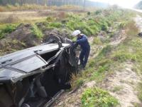 Нижегородец получил смертельное ранение, столкнувшись на  "ВАЗе" с лосем 