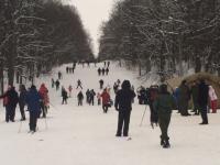 Жители ЖК «Цветы» возмутились нашествием лыжников на Щелоковском хуторе 