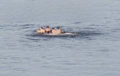 Шестеро детей пытались переплыть Волгу на матрасе в Нижнем Новгороде  