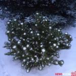 Температурные качели и снег ждут нижегородцев на неделе до Нового года 