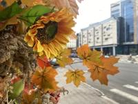 Теплая и солнечная погода ожидается в Нижнем Новгороде 9 октября 