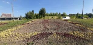 Главный символ  Нижнего Новгорода выложили из цветов в Приокском районе 