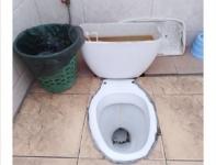 Глава района не нашел в школах Заволжья туалетов из конкурса худших в России 