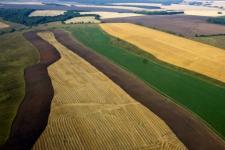 В Нижегородской области увеличат господдержку фермерства 