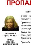 57-летняя Людмила Каяткина пошла на прогулку и пропала в Нижнем Новгороде 