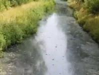 Нижегородские власти определят источник жуткого запахи от реки Борзовки 
