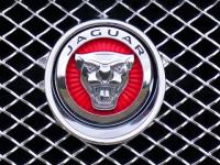 Автодилер Jaguar продолжит работу в Нижнем Новгороде 