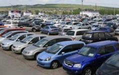 485 протоколов за парковку на газонах составили в Нижнем Новгороде в 2024 году 