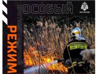 Особый противопожарный режим введён в Нижегородской области с 22 апреля  