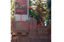 Нижегородцев возмутили забравшиеся на мемориал дети-квадроберы 