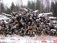 Почти 70 кубометров леса отправлено из Нижегородской области на Донбасс 